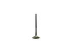 Válvula de Admissão MAHLE Metal Leve para Volkswagen Parati 1.0 16V AT 1997 1998 1999 2000 2001 2002 - Cód. VA0700009