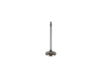 Válvula de Escape MAHLE Metal Leve para Fiat Duna 1.6 8V SEVEL 1994 1995 - Cód. VA0250053